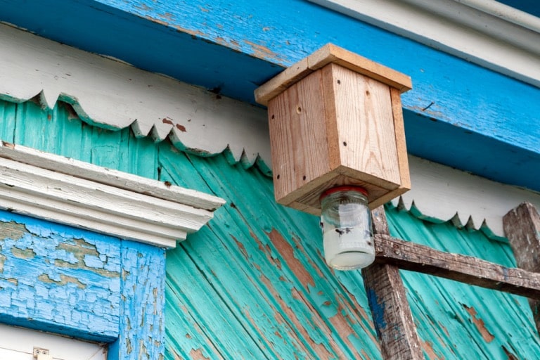 alternative methods to get rid of carpenter bees